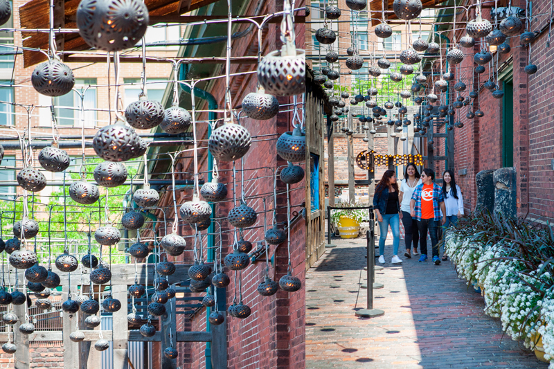 EC English students in Toronto