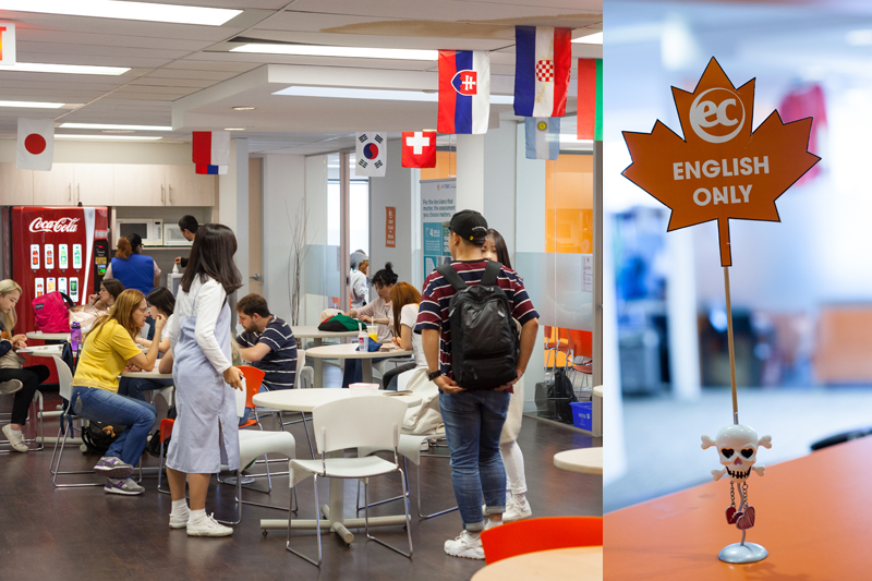 english courses toronto