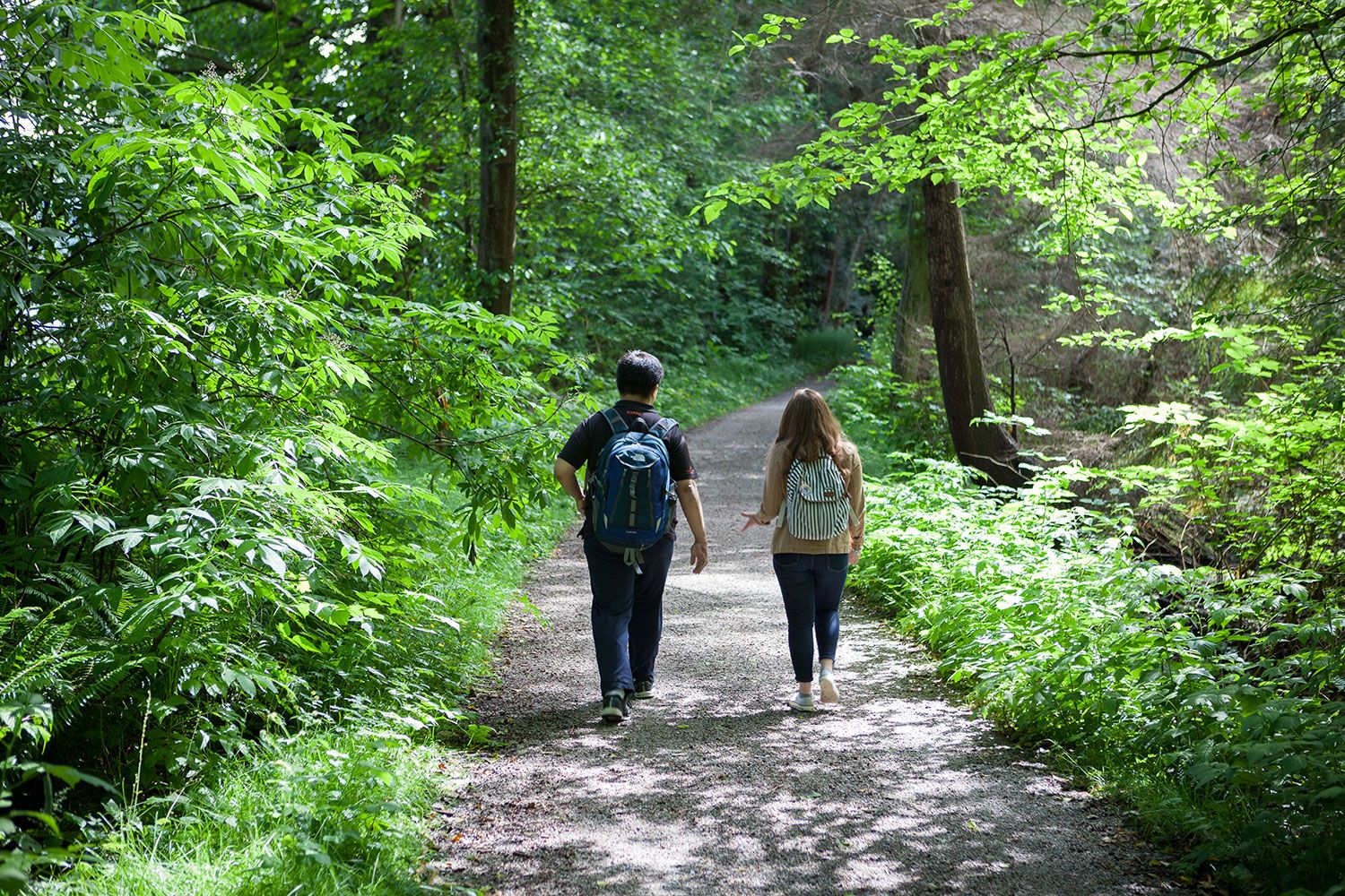 EC Vancouver 30+ English School