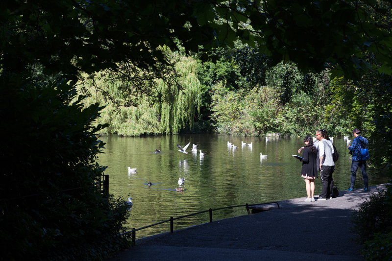 Lake in St Stephens Green, Dublin