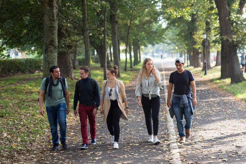 Students learning English in Brighton walking in the park and organizing their evening together