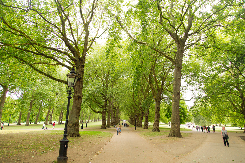 Park in London