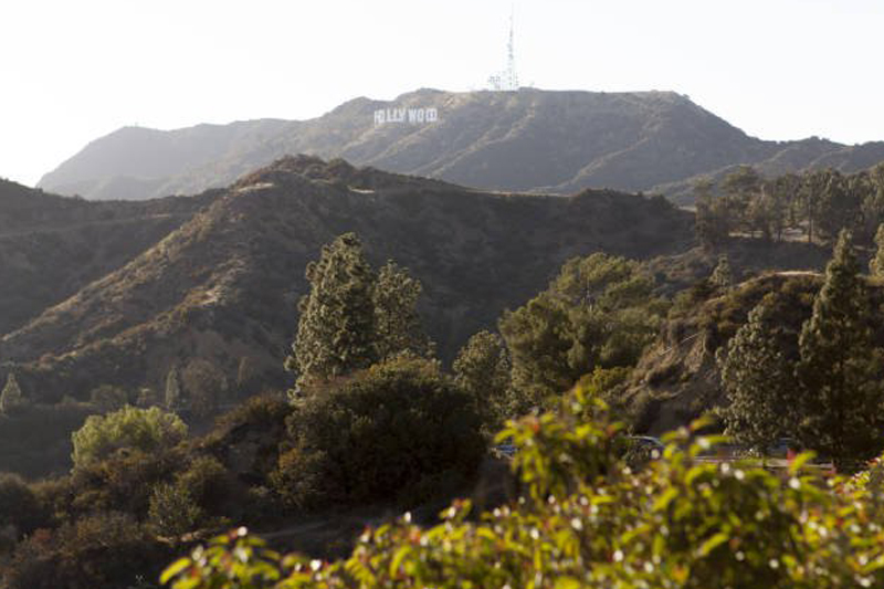 Hollywood Hills in Los Angeles